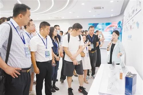 超百家企业组团来江考察,深江携手逐梦新型储能 蓝海