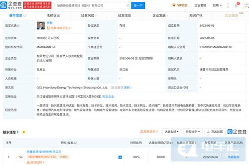 赣锋锂业产能扩张与充电设施布局的市场脉动